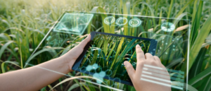 Hitachi Energy prezentuje EcoSpace, nową cyfrową platformę wspierającą zrównoważony rozwój
